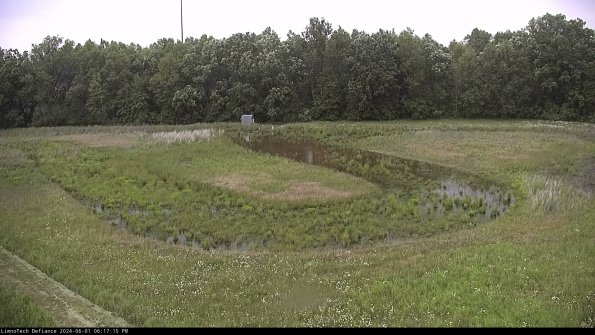 Cell 4_24-06-01_18-17-16-32