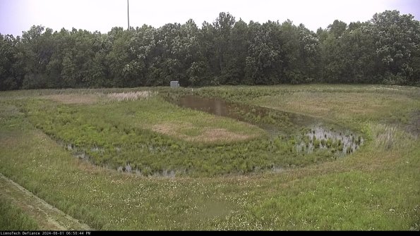 Cell 4_24-06-01_18-50-45-34