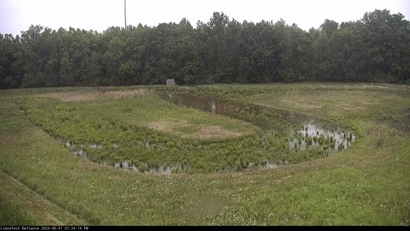 Cell 4_24-06-01_19-24-15-32