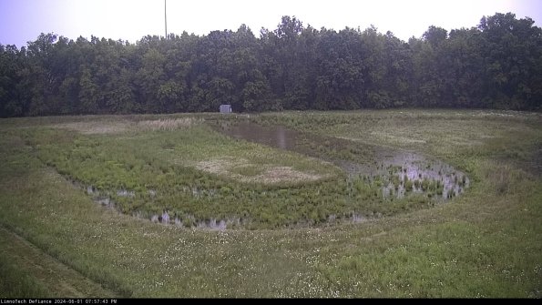 Cell 4_24-06-01_19-57-44-34