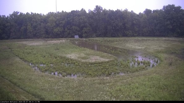 Cell 4_24-06-01_20-31-13-33