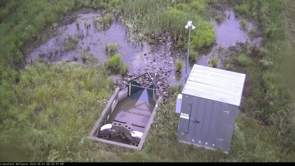 Flume_24-06-01_20-29-38-37