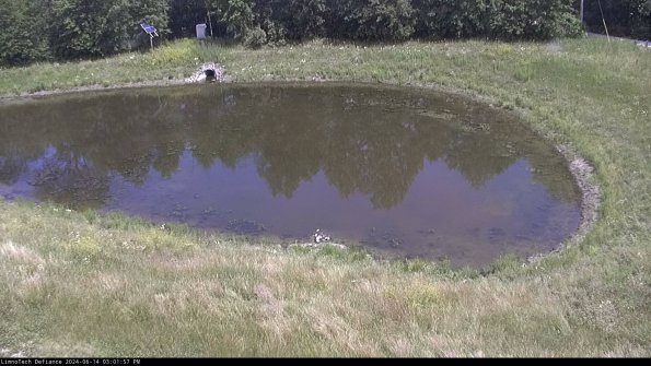 Basin Right_24-06-14_15-01-58-33