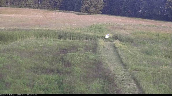 Cell 1 to 2_24-06-14_07-10-41-31