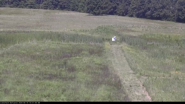 Cell 1 to 2_24-06-14_10-31-41-33