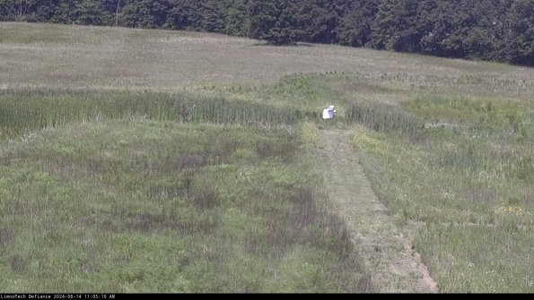 Cell 1 to 2_24-06-14_11-05-11-32