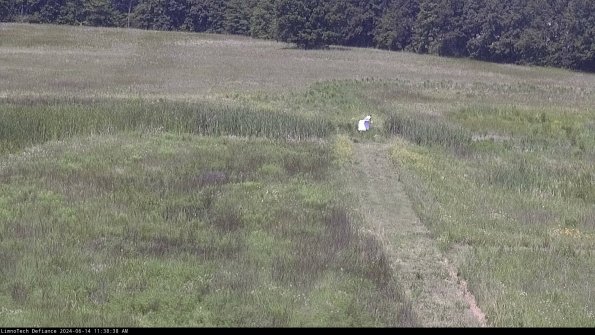 Cell 1 to 2_24-06-14_11-38-39-34