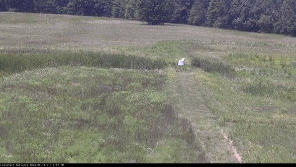 Cell 1 to 2_24-06-14_13-19-08-33