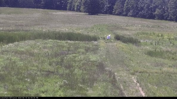 Cell 1 to 2_24-06-14_14-59-36-35