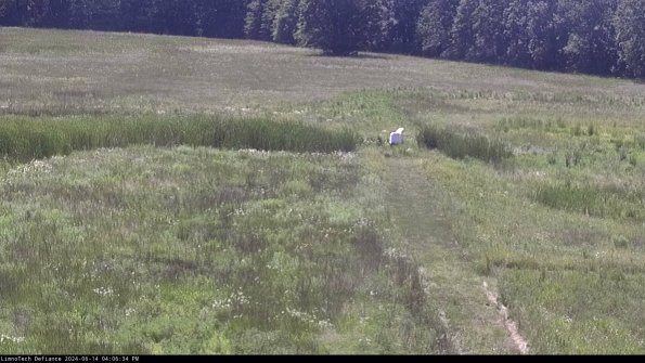 Cell 1 to 2_24-06-14_16-06-35-32