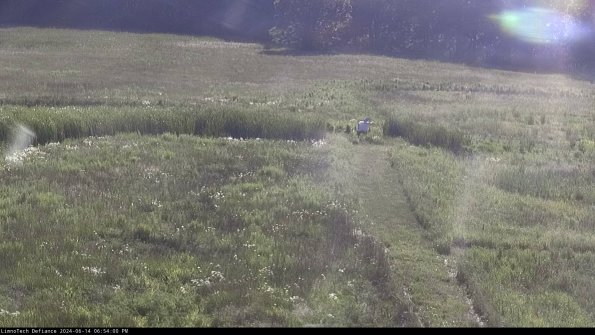 Cell 1 to 2_24-06-14_18-54-01-31