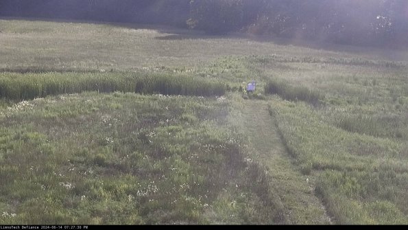 Cell 1 to 2_24-06-14_19-27-31-33