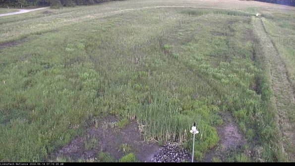 Cell 1_24-06-14_07-10-27-33