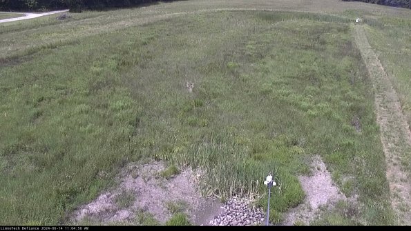 Cell 1_24-06-14_11-04-57-30