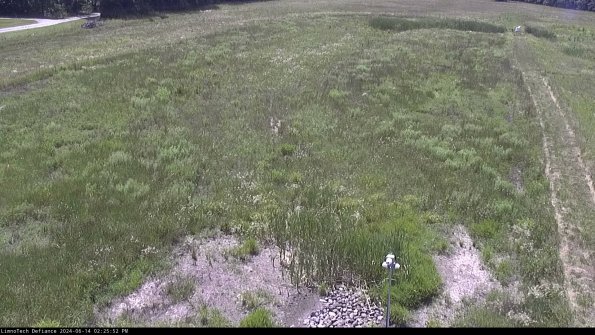 Cell 1_24-06-14_14-25-53-32