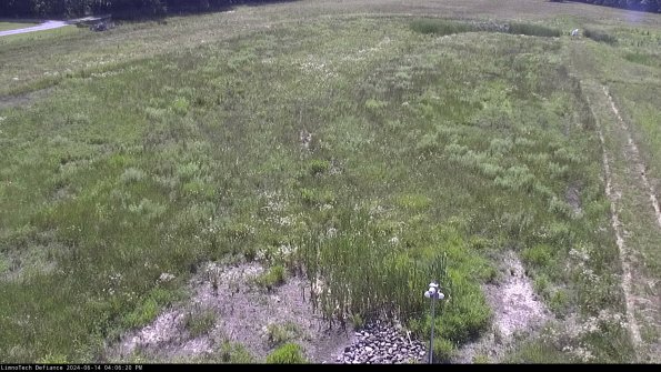 Cell 1_24-06-14_16-06-21-34