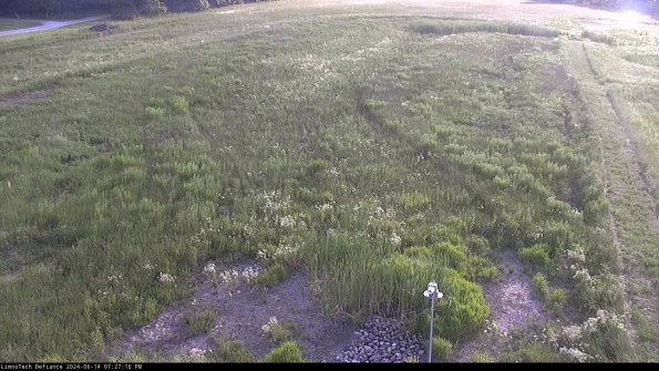 Cell 1_24-06-14_19-27-17-31