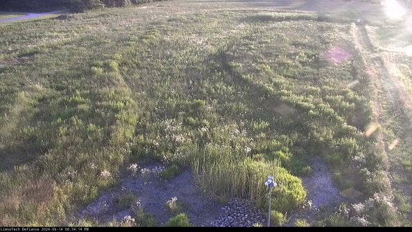 Cell 1_24-06-14_20-34-15-35