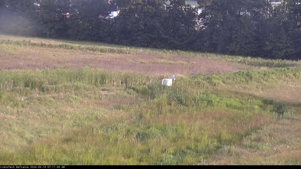 Cell 2 to 3_24-06-14_07-11-07-43