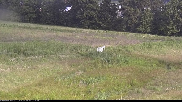 Cell 2 to 3_24-06-14_08-51-39-53