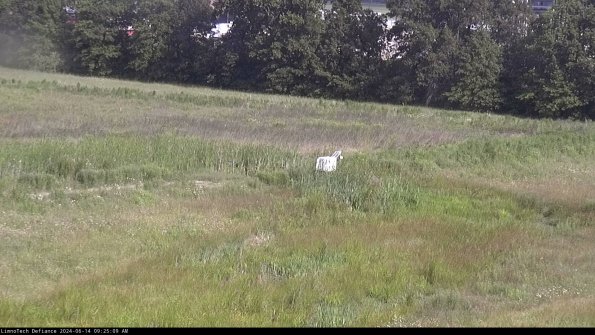 Cell 2 to 3_24-06-14_09-25-09-52