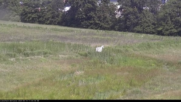 Cell 2 to 3_24-06-14_11-05-37-41