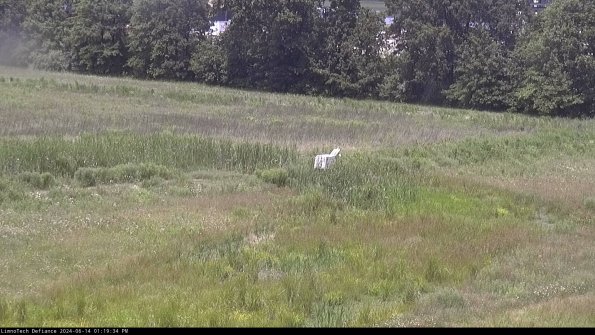 Cell 2 to 3_24-06-14_13-19-34-46