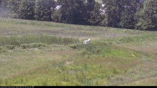 Cell 2 to 3_24-06-14_14-26-33-43