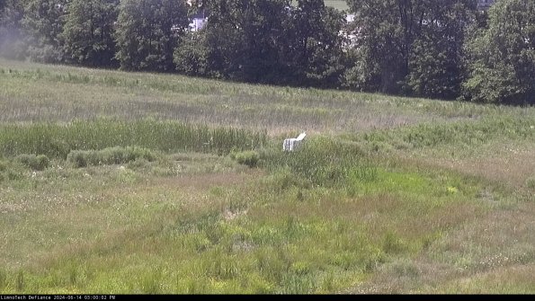 Cell 2 to 3_24-06-14_15-00-02-51