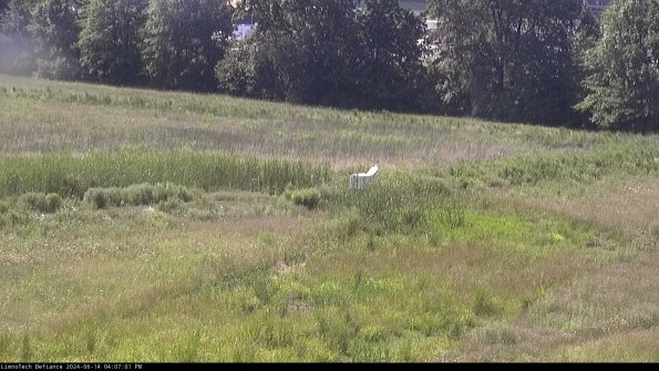 Cell 2 to 3_24-06-14_16-07-01-51