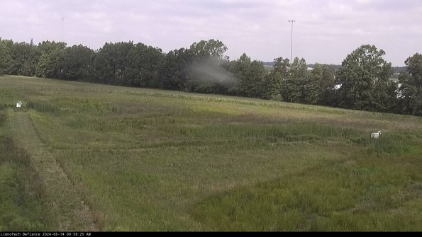 Cell 2_24-06-14_09-58-26-36