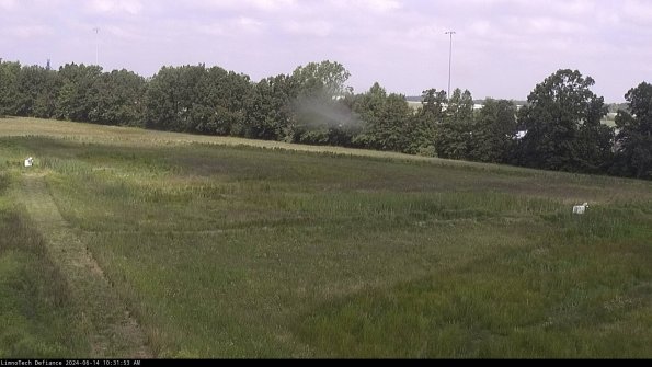 Cell 2_24-06-14_10-31-54-34