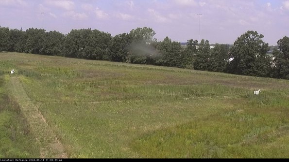 Cell 2_24-06-14_11-05-24-37