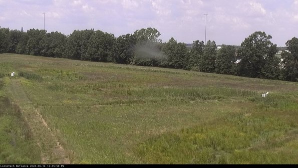 Cell 2_24-06-14_12-45-51-36