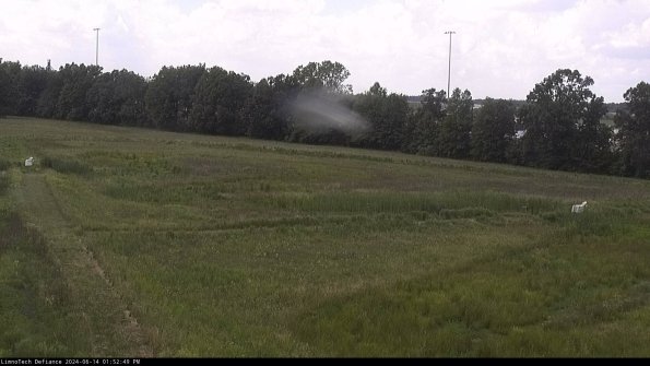 Cell 2_24-06-14_13-52-50-36