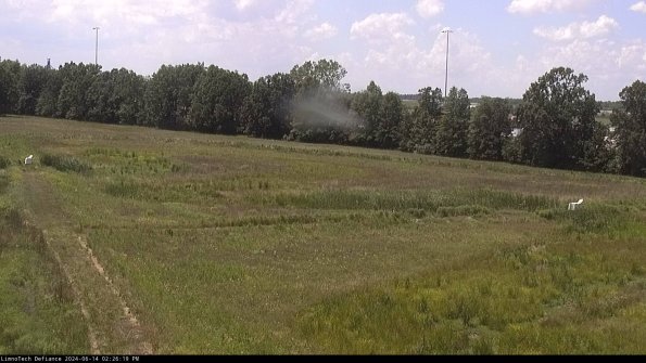 Cell 2_24-06-14_14-26-20-35