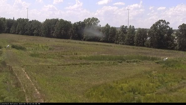 Cell 2_24-06-14_14-59-49-40