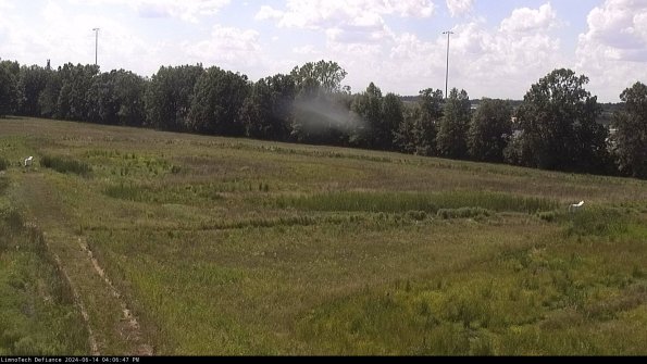 Cell 2_24-06-14_16-06-48-40