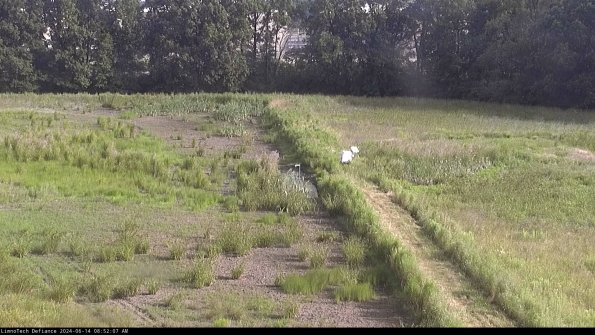 Cell 3 to 4_24-06-14_08-52-08-33