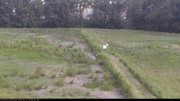 Cell 3 to 4_24-06-14_10-32-36-35