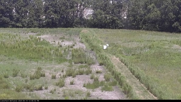 Cell 3 to 4_24-06-14_12-46-33-33