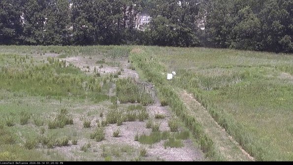 Cell 3 to 4_24-06-14_13-20-03-32