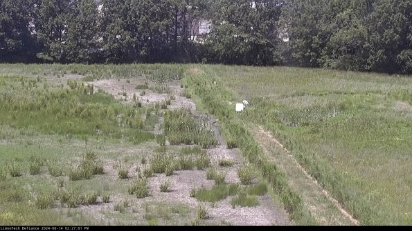 Cell 3 to 4_24-06-14_14-27-02-32