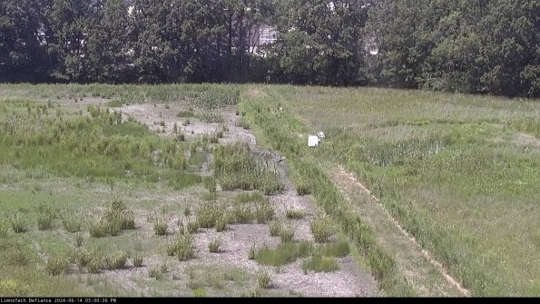 Cell 3 to 4_24-06-14_15-00-31-31