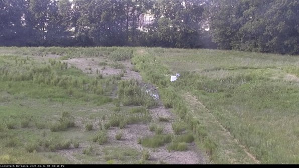 Cell 3 to 4_24-06-14_16-40-59-33