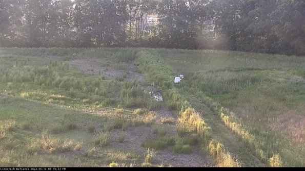 Cell 3 to 4_24-06-14_20-35-24-36