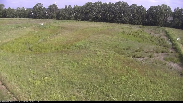 Cell 3_24-06-14_09-25-24-33