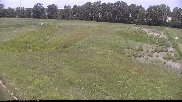 Cell 3_24-06-14_13-19-49-34