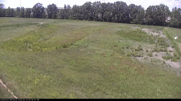 Cell 3_24-06-14_14-26-48-34