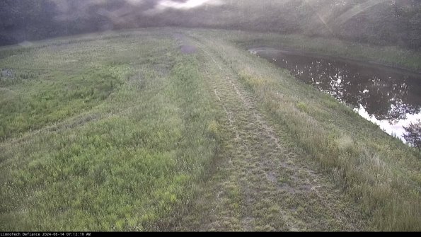 Cell 4 to Basin_24-06-14_07-12-20-34